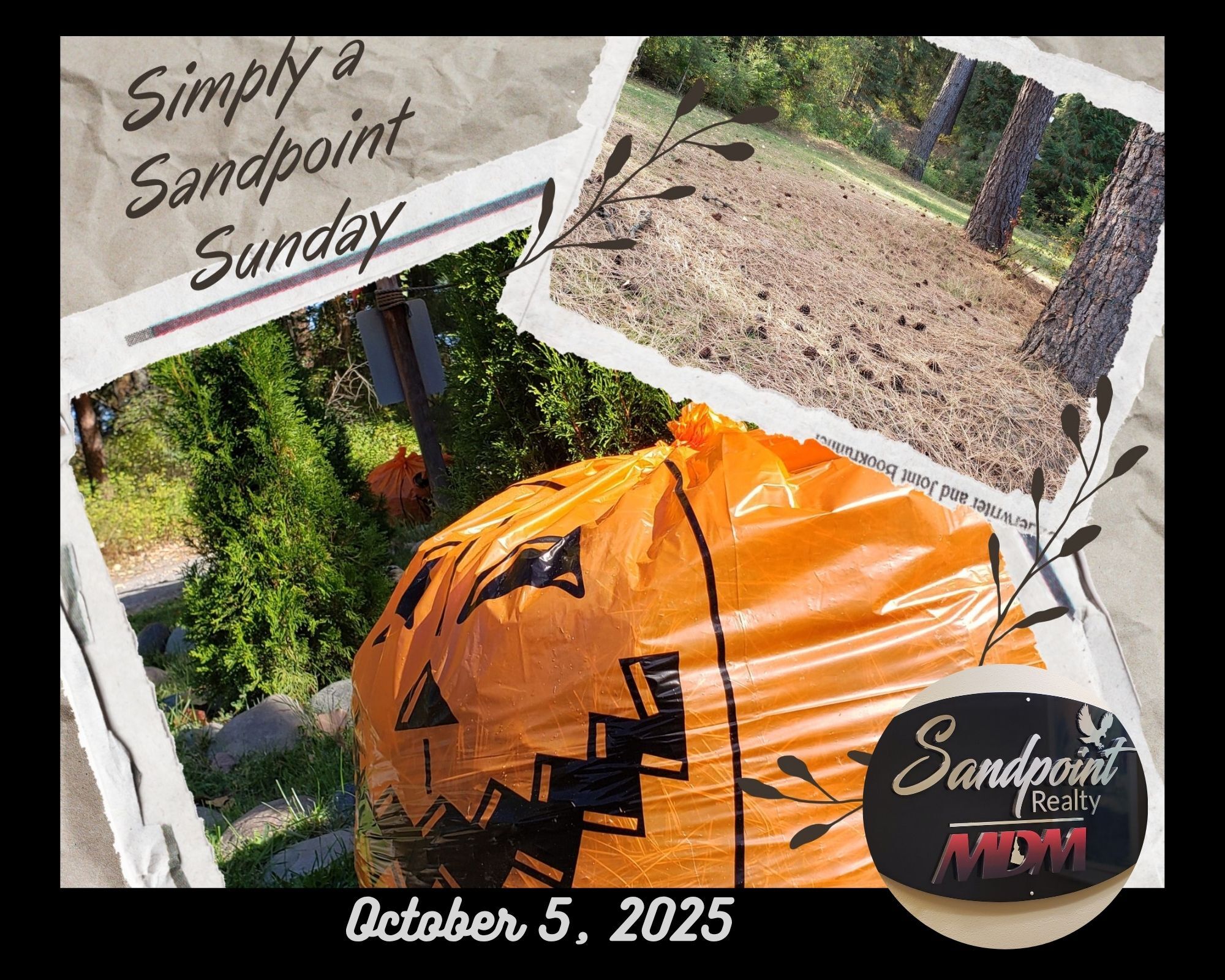 Sandpoint Realty Simply Sunday Pumpkin
