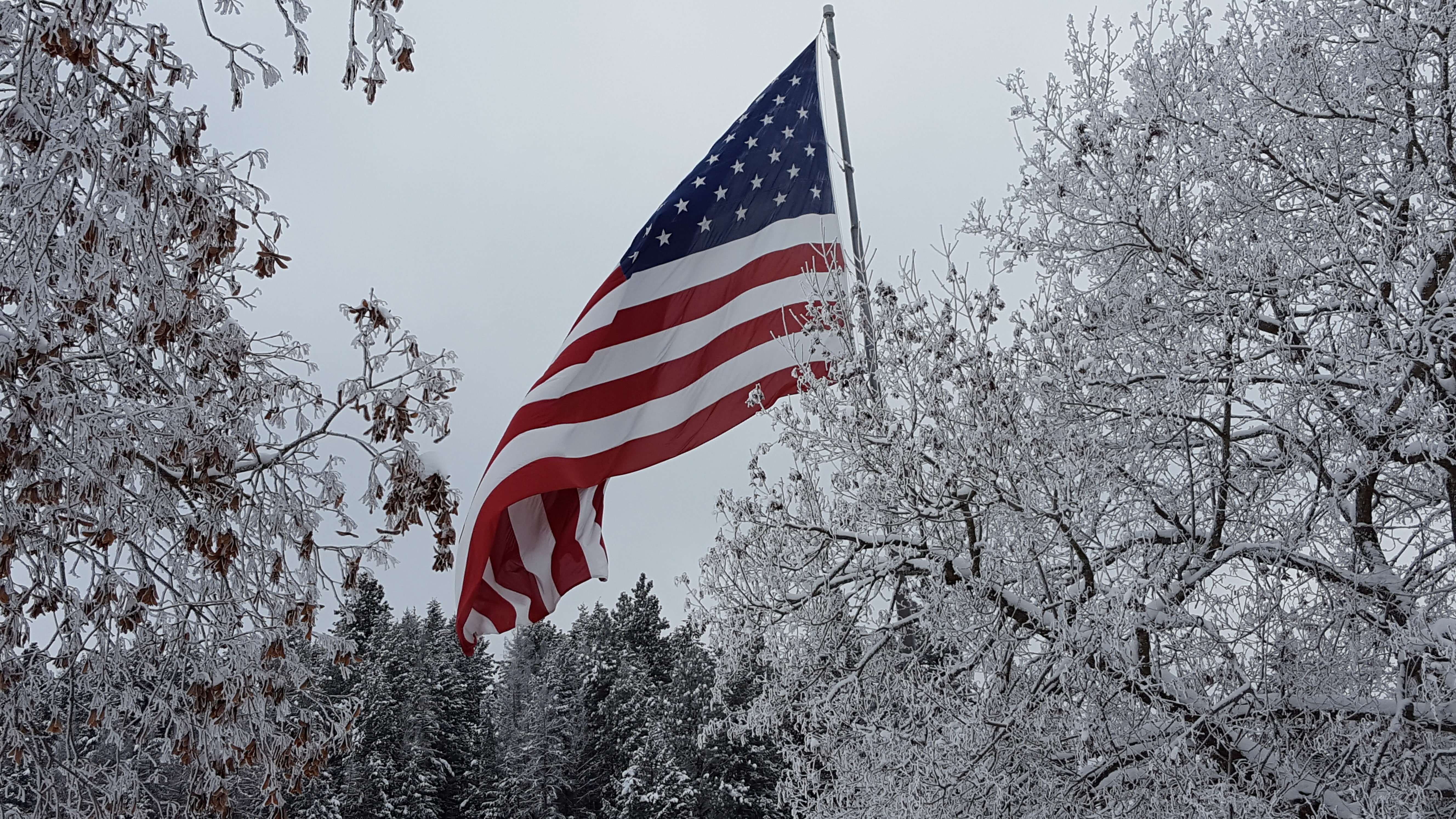 Sandpoint Realty - Friday Flag