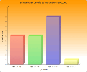 Schweitzer Ski Condo's