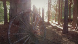 Priest Lake Idaho Cabin for Sale