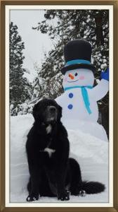 Sandpoint Idaho Snow