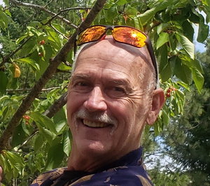 Mark Don McInnes