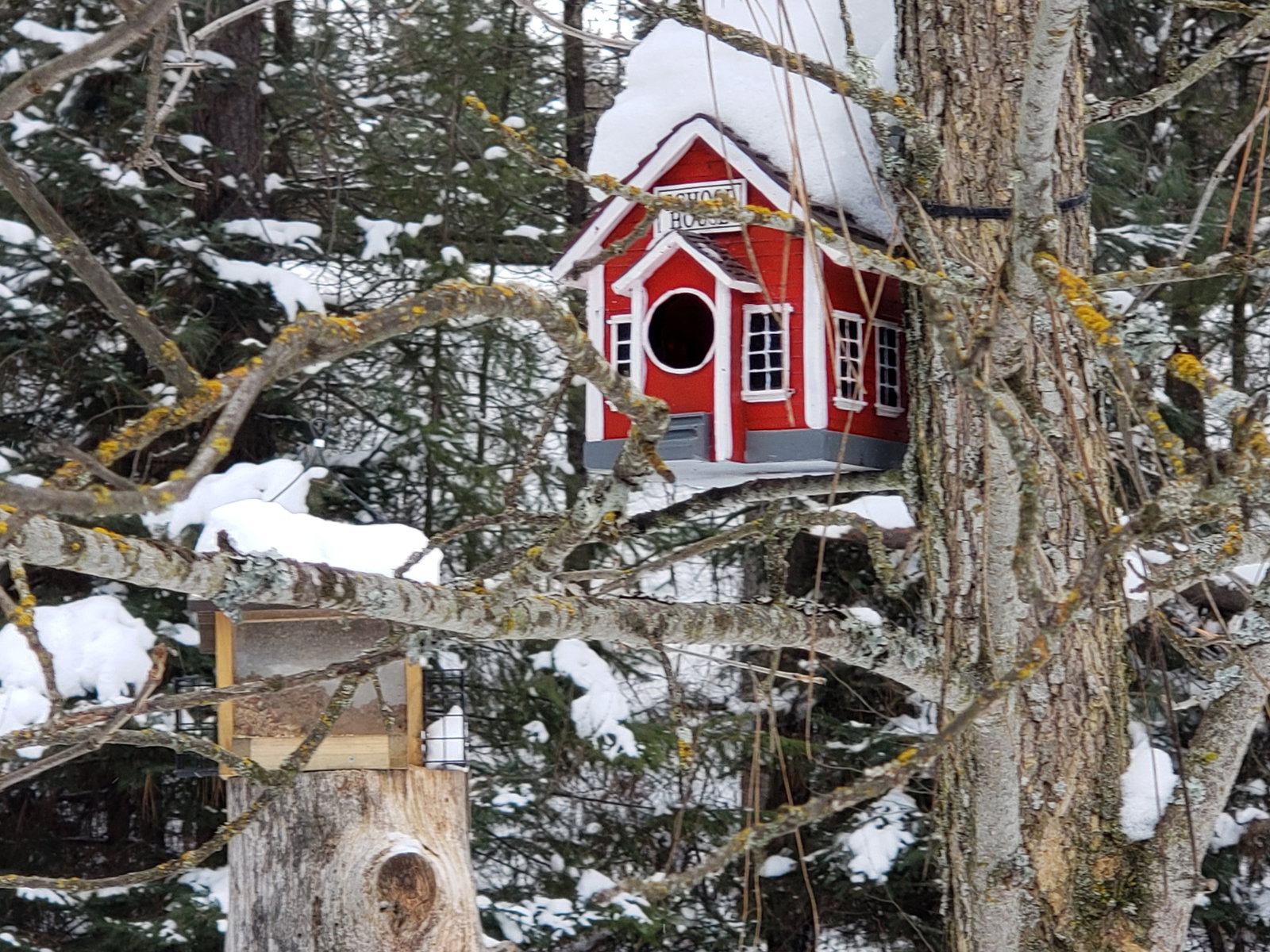 Extreme Sandpoint – Naples Idaho Low Temps ! !
